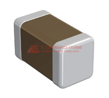 490 01005-(0402-Metric)-0,22mm.jpg Image